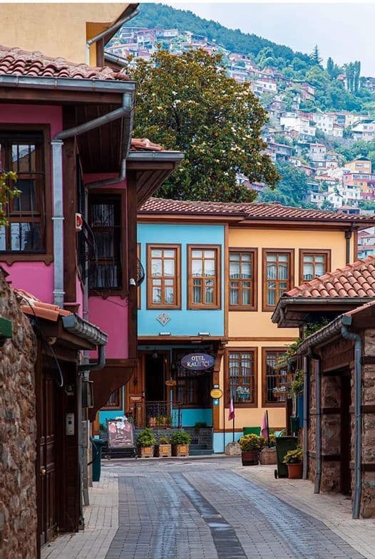 Bursa Tur